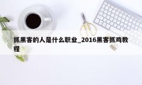 抓黑客的人是什么职业_2016黑客抓鸡教程