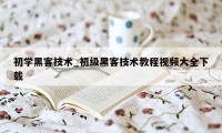 初学黑客技术_初级黑客技术教程视频大全下载