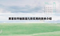 黑客软件魅族溜几款实用的简单介绍
