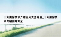 十大黑客技术介绍图片大全高清_十大黑客技术介绍图片大全