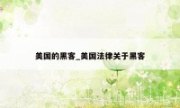 美国的黑客_美国法律关于黑客