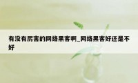 有没有厉害的网络黑客啊_网络黑客好还是不好