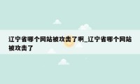 辽宁省哪个网站被攻击了啊_辽宁省哪个网站被攻击了