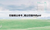 扫描端口命令_端口扫描中的pid