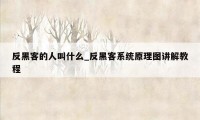 反黑客的人叫什么_反黑客系统原理图讲解教程
