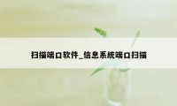 扫描端口软件_信息系统端口扫描