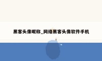 黑客头像昵称_网络黑客头像软件手机