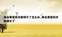 峡谷黑客技术解锁不了怎么办_峡谷黑客技术解锁不了