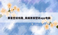 黑客壁纸炫酷_美国黑客壁纸app电脑