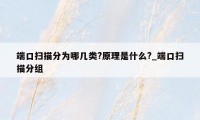 端口扫描分为哪几类?原理是什么?_端口扫描分组