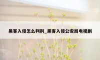 黑客入侵怎么判刑_黑客入侵公安局电视剧