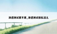 渗透测试累不累_渗透测试接私活儿