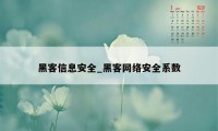 黑客信息安全_黑客网络安全系数