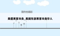 美遭黑客攻击_美国东部黑客攻击华人