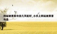 网站被黑客攻击几天能好_小伙上网站被黑客攻击