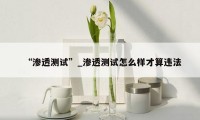“渗透测试”_渗透测试怎么样才算违法