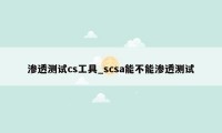 渗透测试cs工具_scsa能不能渗透测试