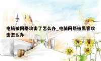 电脑被网络攻击了怎么办_电脑网络被黑客攻击怎么办