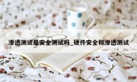 渗透测试是安全测试吗_硬件安全和渗透测试