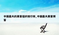 中国最大的黑客组织排行榜_中国最大黑客博客
