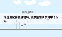 渗透测试需要编程吗_搞渗透测试学习哪个代码