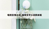 暗夜言情小说_暗夜文学小说网米姐