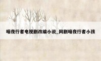 暗夜行者电视剧改编小说_网剧暗夜行者小孩