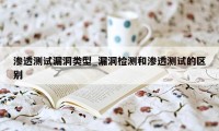 渗透测试漏洞类型_漏洞检测和渗透测试的区别