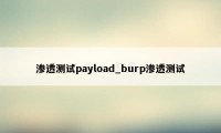 渗透测试payload_burp渗透测试